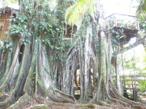 Topos Tree House